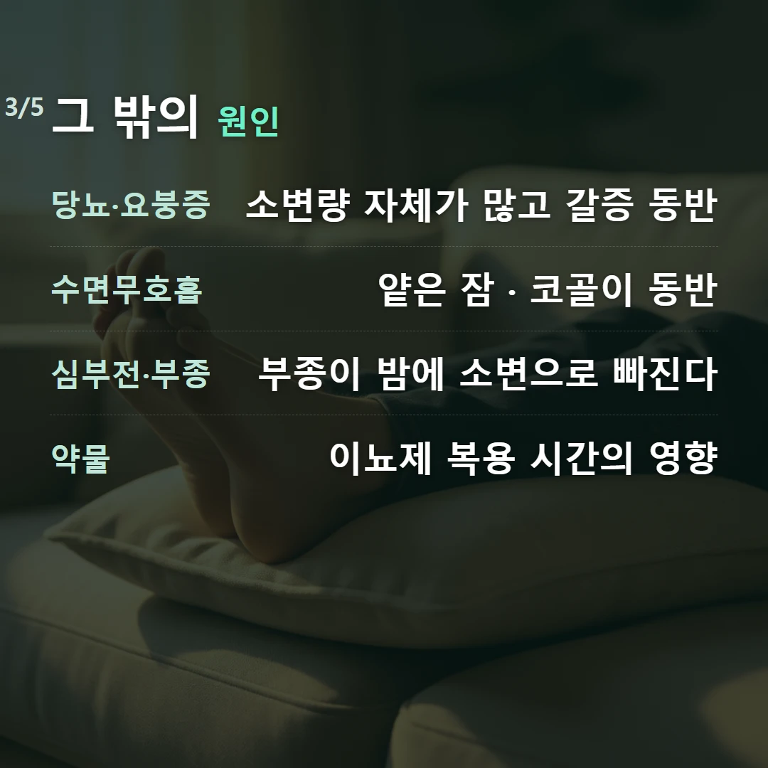 그 밖의 원인 — 당뇨·요붕증 소변량 자체가 많고 갈증 동반, 수면무호흡 얕은 잠 · 코골이 동반, 심부전·부종 부종이 밤에 소변으로 빠진다, 약물 이뇨제 복용 시간의 영향