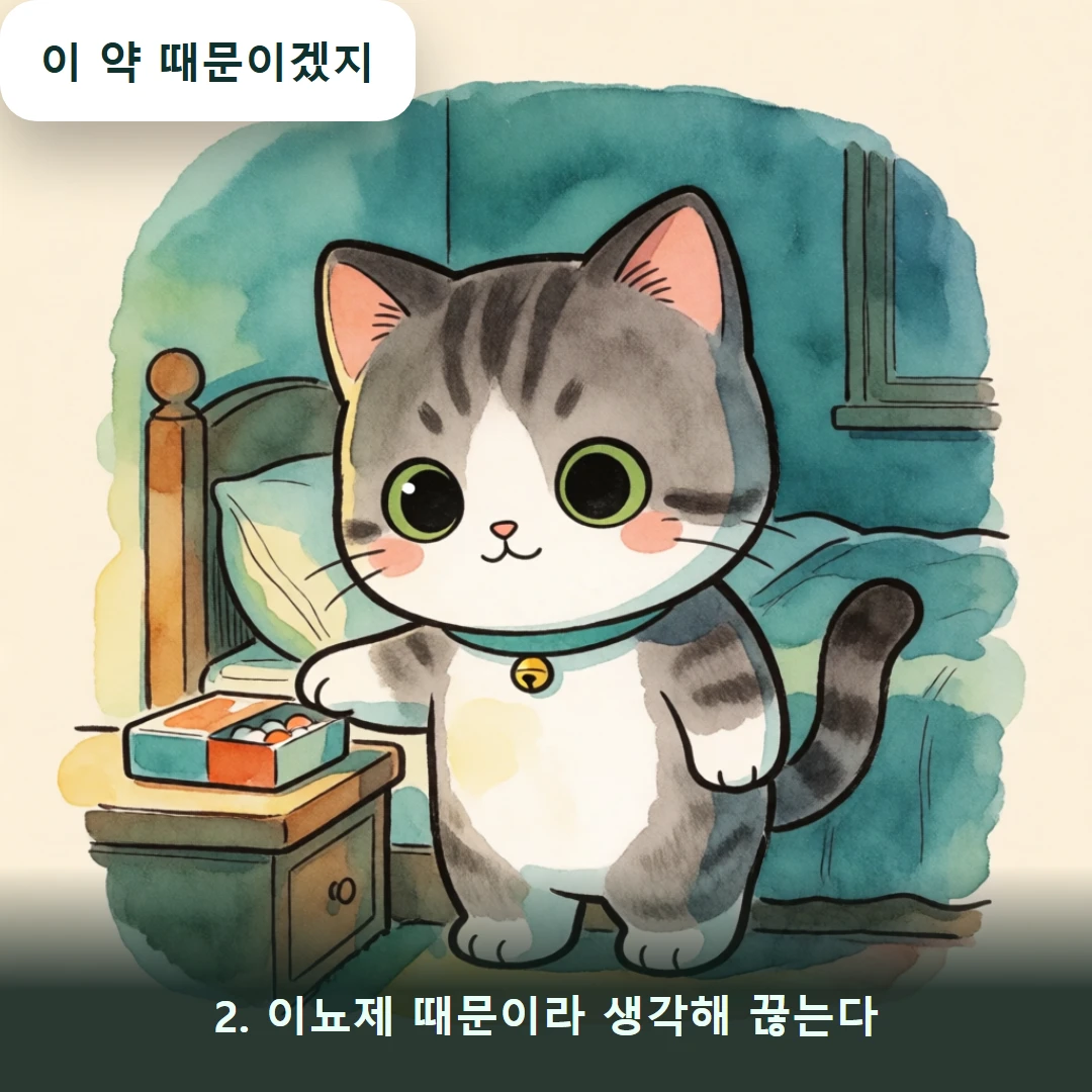 웹툰 2컷 — 2. 이뇨제 때문이라 생각해 끊는다 (이 약 때문이겠지)