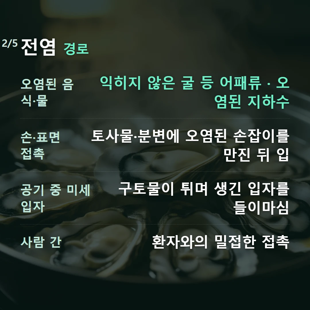 전염 경로 — 오염된 음식·물 익히지 않은 굴 등 어패류 · 오염된 지하수, 손·표면 접촉 토사물·분변에 오염된 손잡이를 만진 뒤 입, 공기 중 미세 입자 구토물이 튀며 생긴 입자를 들이마심, 사람 간 환자와의 밀접한 접촉