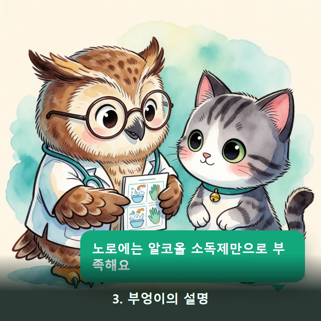 웹툰 3컷 — 3. 부엉이의 설명 (노로에는 알코올 소독제만으로 부족해요)
