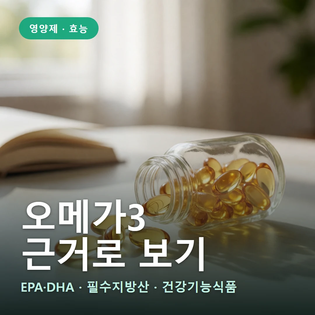 오메가3 요약 표지 — EPA·DHA · 필수지방산 · 건강기능식품