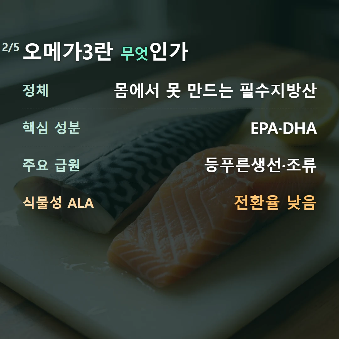 오메가3란 무엇인가 — 정체 몸에서 못 만드는 필수지방산, 핵심 성분 EPA·DHA, 주요 급원 등푸른생선·조류, 식물성 ALA 전환율 낮음