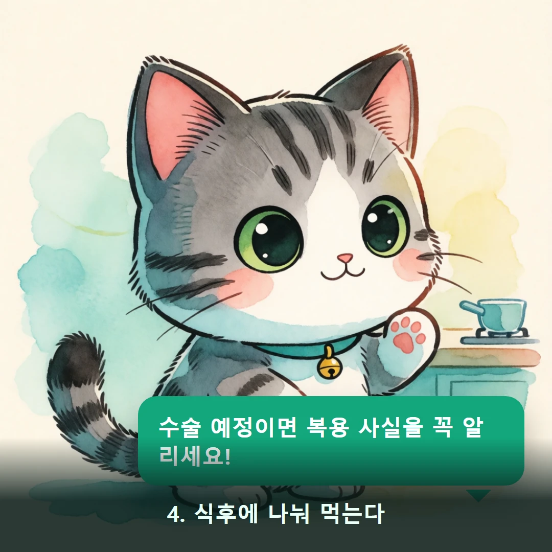 웹툰 4컷 — 4. 식후에 나눠 먹는다 (수술 예정이면 복용 사실을 꼭 알리세요!)