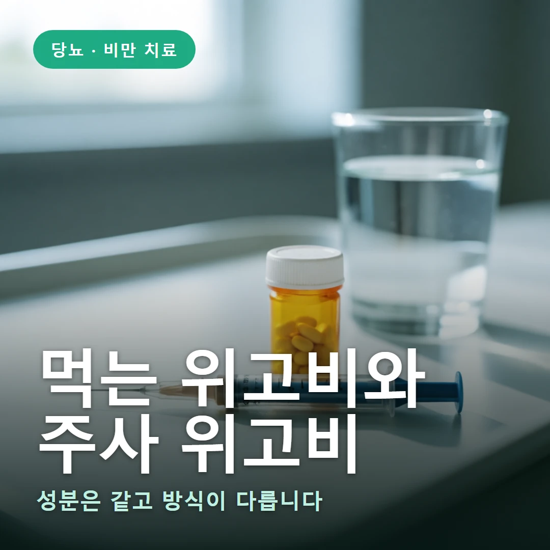먹는 위고비 요약 표지 — 성분은 같고 방식이 다릅니다