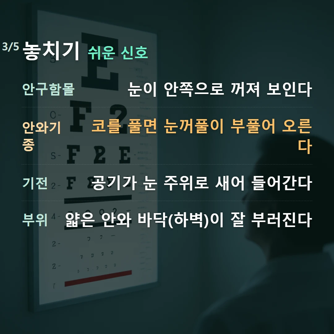 놓치기 쉬운 신호 — 안구함몰 눈이 안쪽으로 꺼져 보인다, 안와기종 코를 풀면 눈꺼풀이 부풀어 오른다, 기전 공기가 눈 주위로 새어 들어간다, 부위 얇은 안와 바닥(하벽)이 잘 부러진다