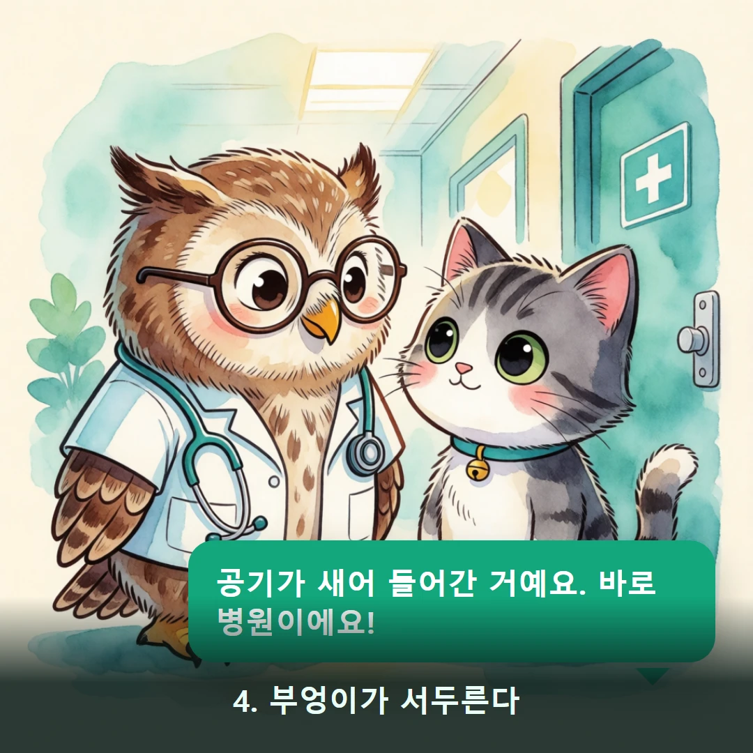 웹툰 4컷 — 4. 부엉이가 서두른다 (공기가 새어 들어간 거예요. 바로 병원이에요!)
