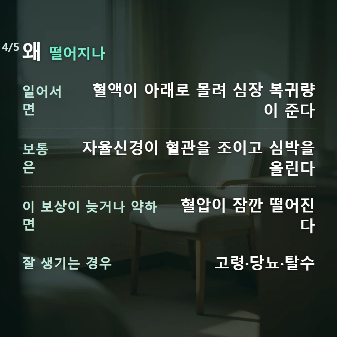 왜 떨어지나 — 일어서면 혈액이 아래로 몰려 심장 복귀량이 준다, 보통은 자율신경이 혈관을 조이고 심박을 올린다, 이 보상이 늦거나 약하면 혈압이 잠깐 떨어진다, 잘 생기는 경우 고령·당뇨·탈수