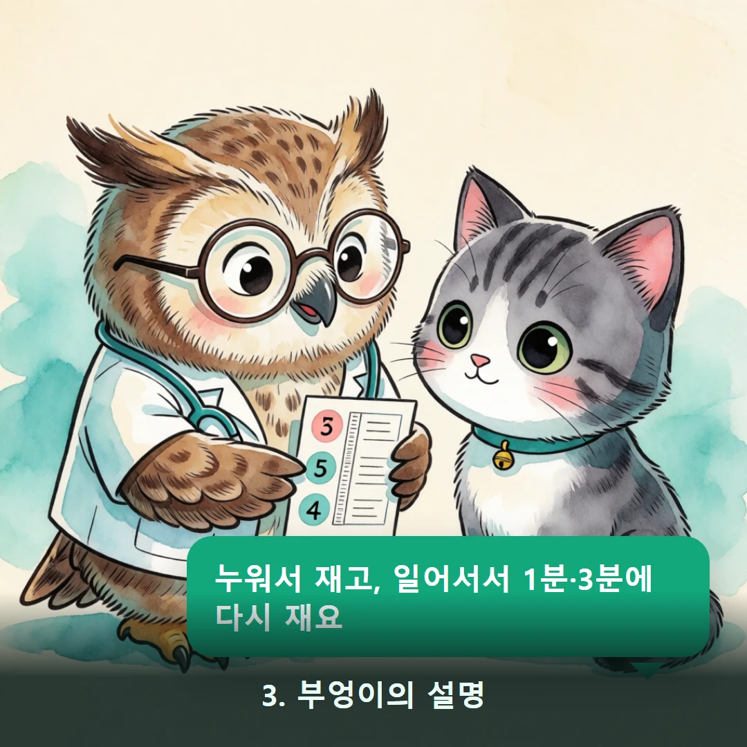 웹툰 3컷 — 3. 부엉이의 설명 (누워서 재고, 일어서서 1분·3분에 다시 재요)