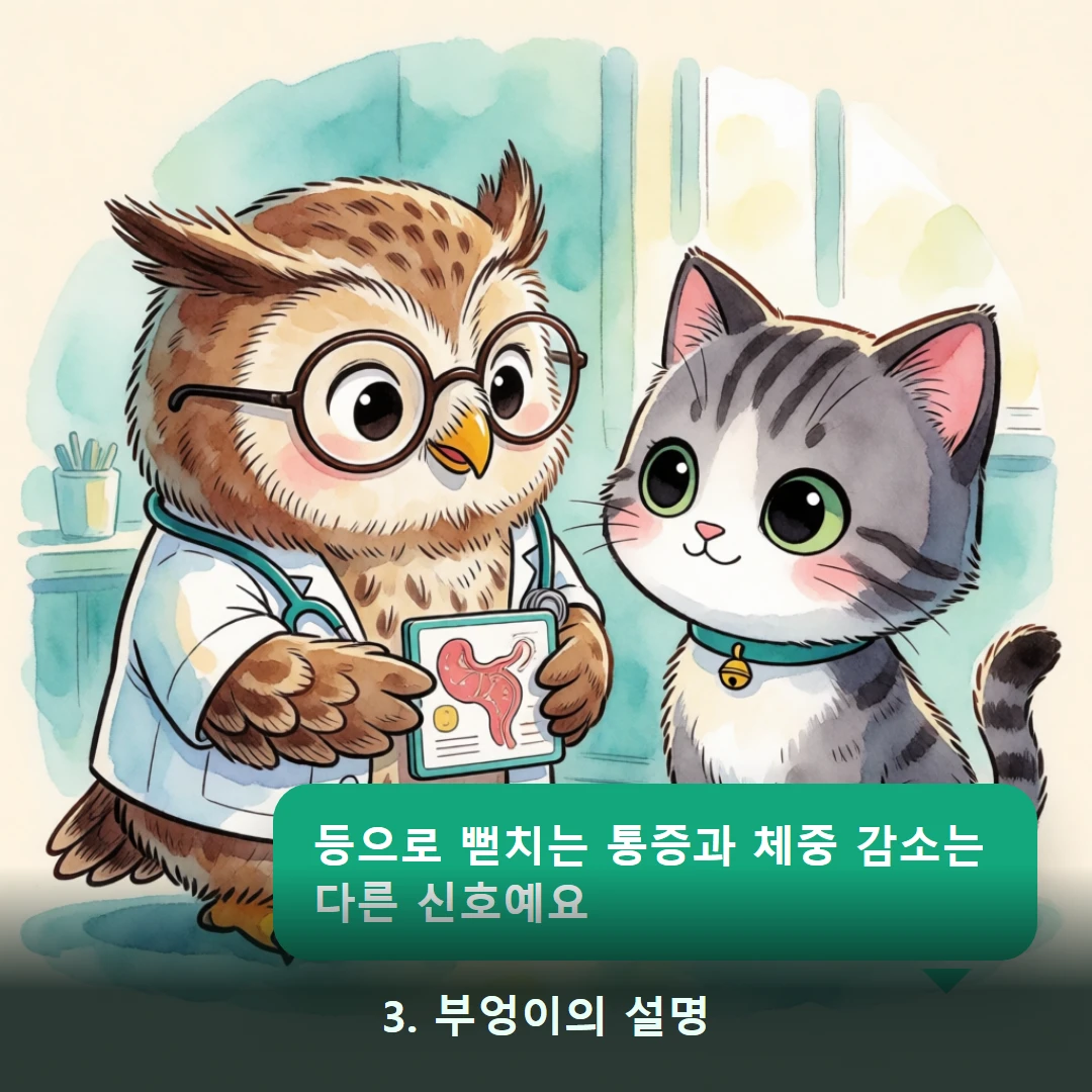 웹툰 3컷 — 3. 부엉이의 설명 (등으로 뻗치는 통증과 체중 감소는 다른 신호예요)
