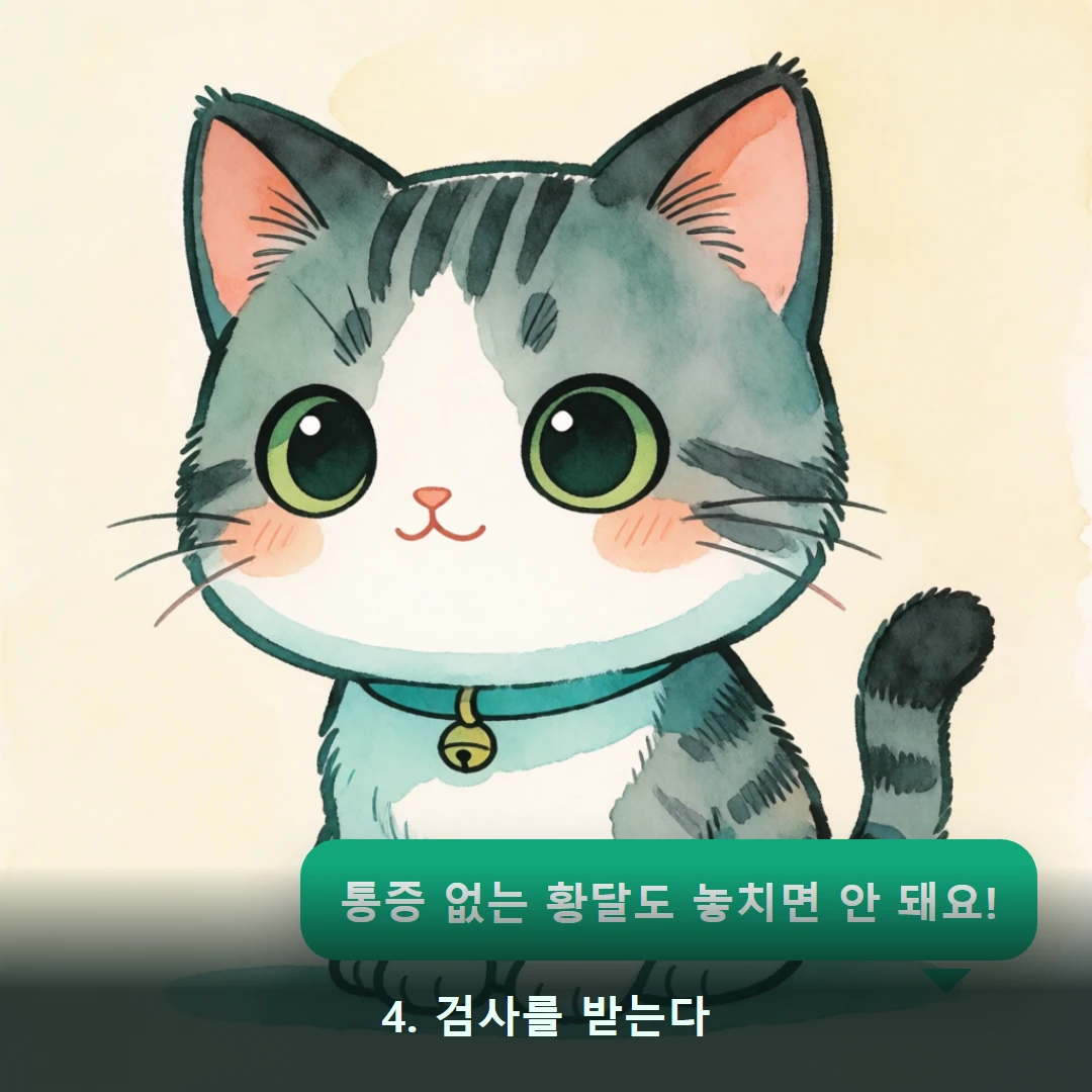 웹툰 4컷 — 4. 검사를 받는다 (통증 없는 황달도 놓치면 안 돼요!)