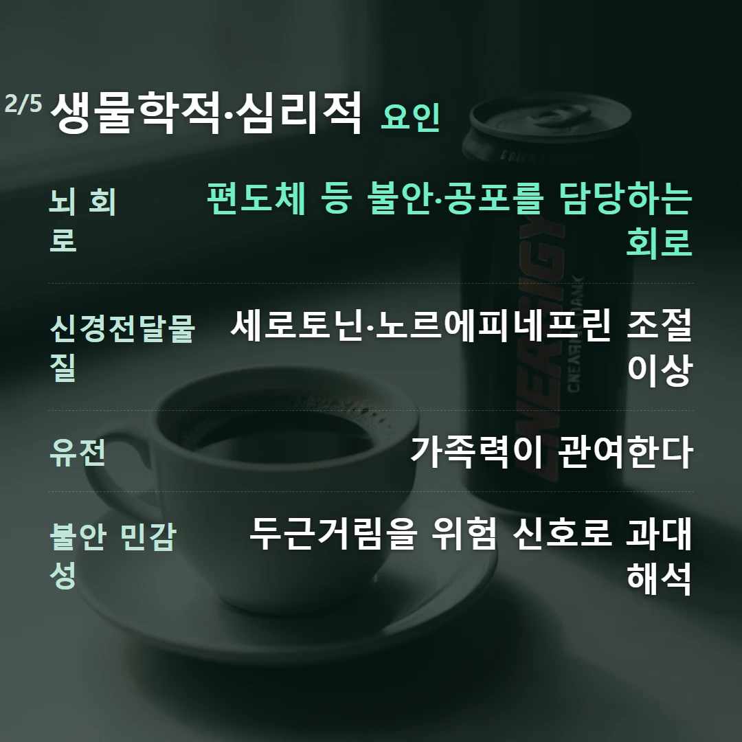 생물학적·심리적 요인 — 뇌 회로 편도체 등 불안·공포를 담당하는 회로, 신경전달물질 세로토닌·노르에피네프린 조절 이상, 유전 가족력이 관여한다, 불안 민감성 두근거림을 위험 신호로 과대 해석