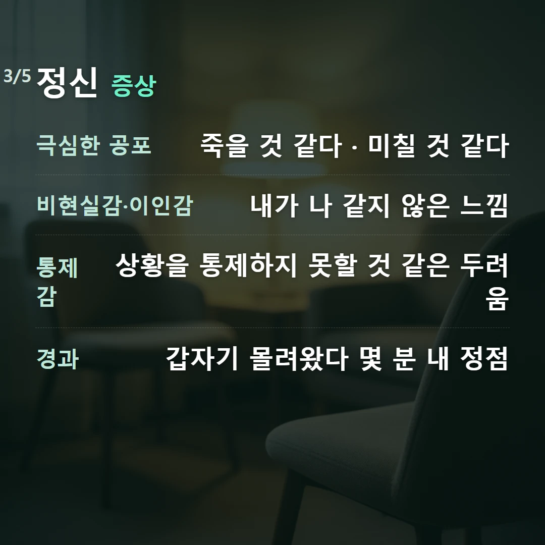정신 증상 — 극심한 공포 죽을 것 같다 · 미칠 것 같다, 비현실감·이인감 내가 나 같지 않은 느낌, 통제감 상황을 통제하지 못할 것 같은 두려움, 경과 갑자기 몰려왔다 몇 분 내 정점