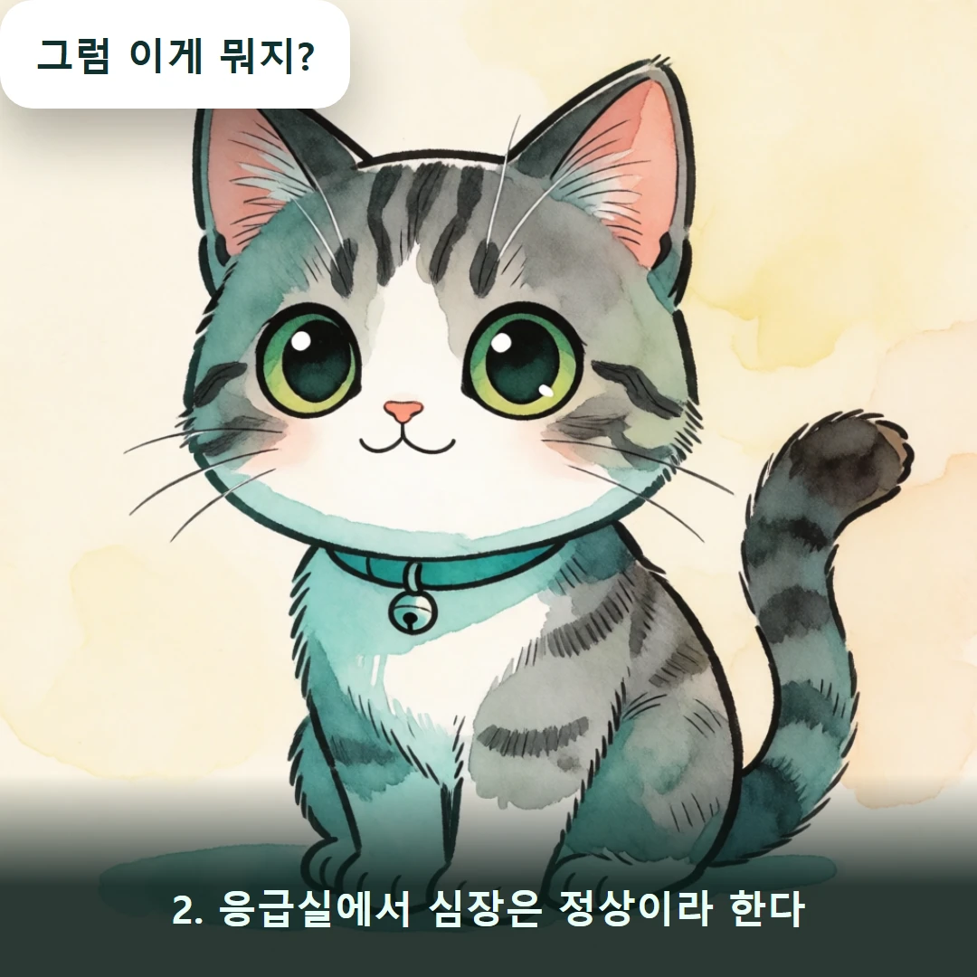 웹툰 2컷 — 2. 응급실에서 심장은 정상이라 한다 (그럼 이게 뭐지?)
