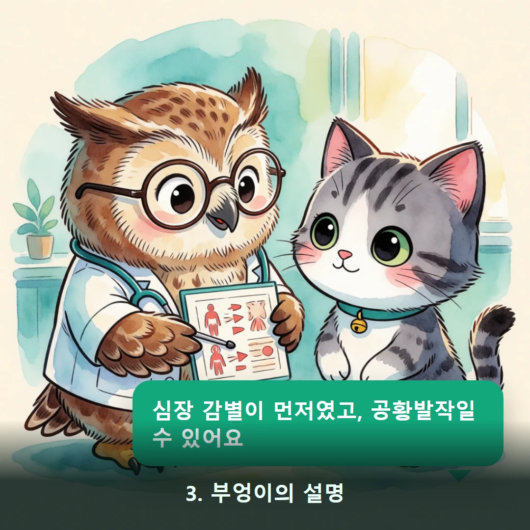 웹툰 3컷 — 3. 부엉이의 설명 (심장 감별이 먼저였고, 공황발작일 수 있어요)