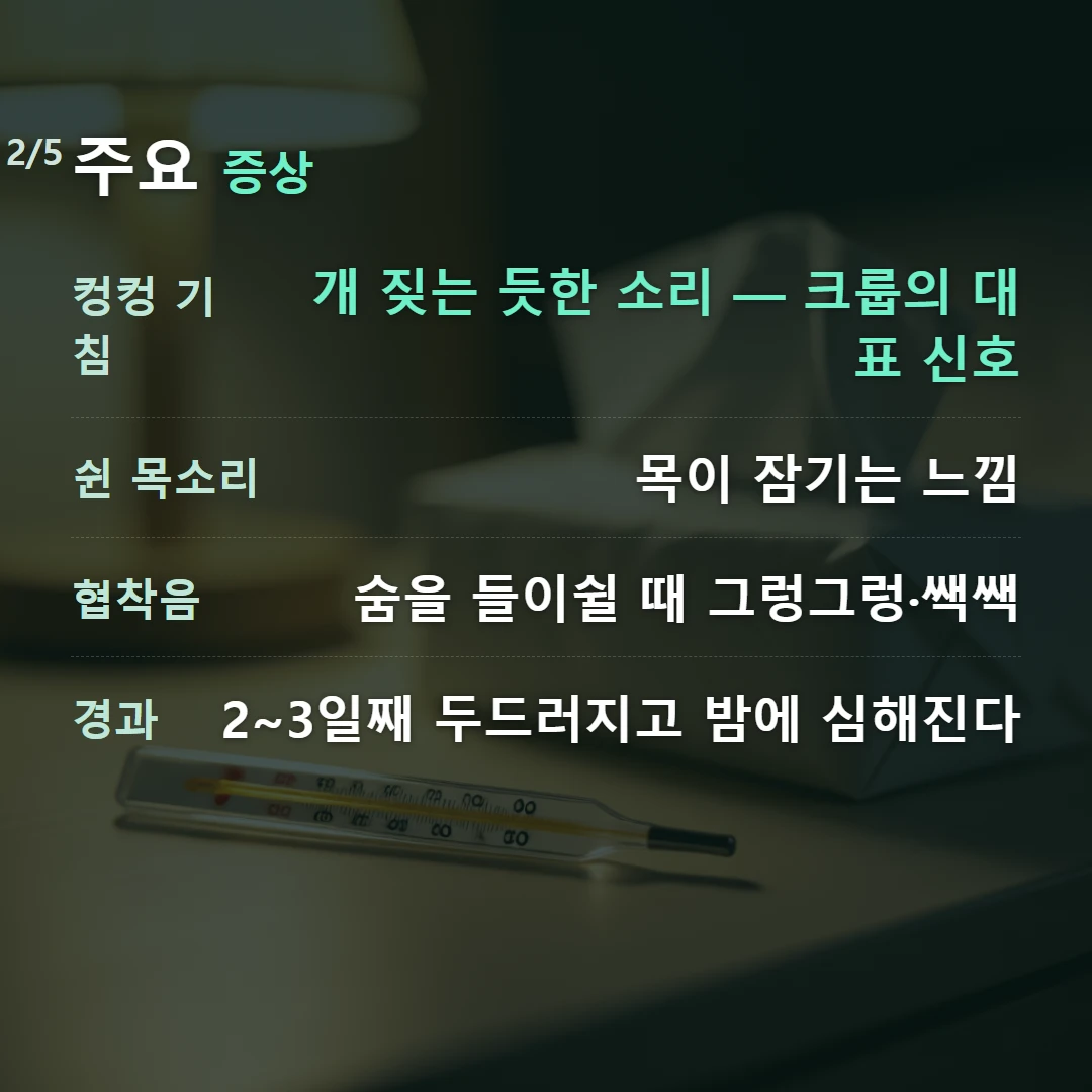 주요 증상 — 컹컹 기침 개 짖는 듯한 소리 — 크룹의 대표 신호, 쉰 목소리 목이 잠기는 느낌, 협착음 숨을 들이쉴 때 그렁그렁·쌕쌕, 경과 2~3일째 두드러지고 밤에 심해진다