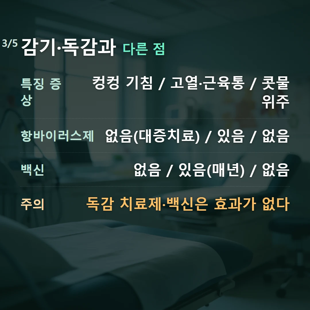 감기·독감과 다른 점 — 특징 증상 컹컹 기침 / 고열·근육통 / 콧물 위주, 항바이러스제 없음(대증치료) / 있음 / 없음, 백신 없음 / 있음(매년) / 없음, 주의 독감 치료제·백신은 효과가 없다
