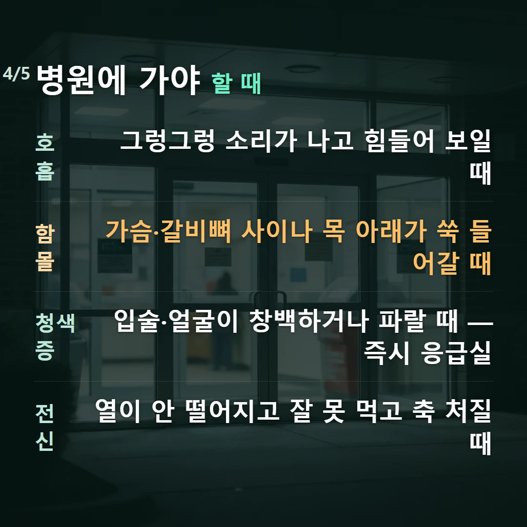 병원에 가야 할 때 — 호흡 그렁그렁 소리가 나고 힘들어 보일 때, 함몰 가슴·갈비뼈 사이나 목 아래가 쑥 들어갈 때, 청색증 입술·얼굴이 창백하거나 파랄 때 — 즉시 응급실, 전신 열이 안 떨어지고 잘 못 먹고 축 처질 때