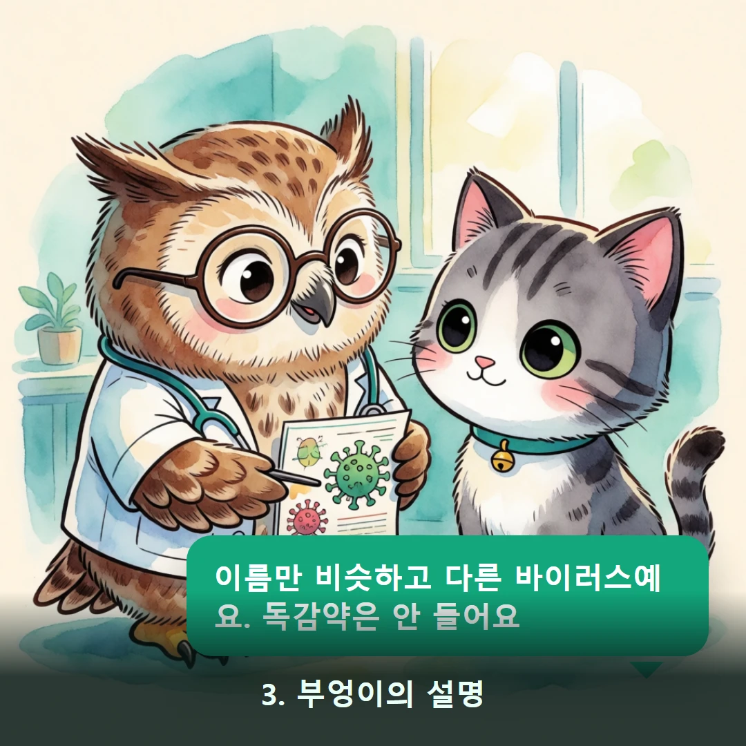 웹툰 3컷 — 3. 부엉이의 설명 (이름만 비슷하고 다른 바이러스예요. 독감약은 안 들어요)