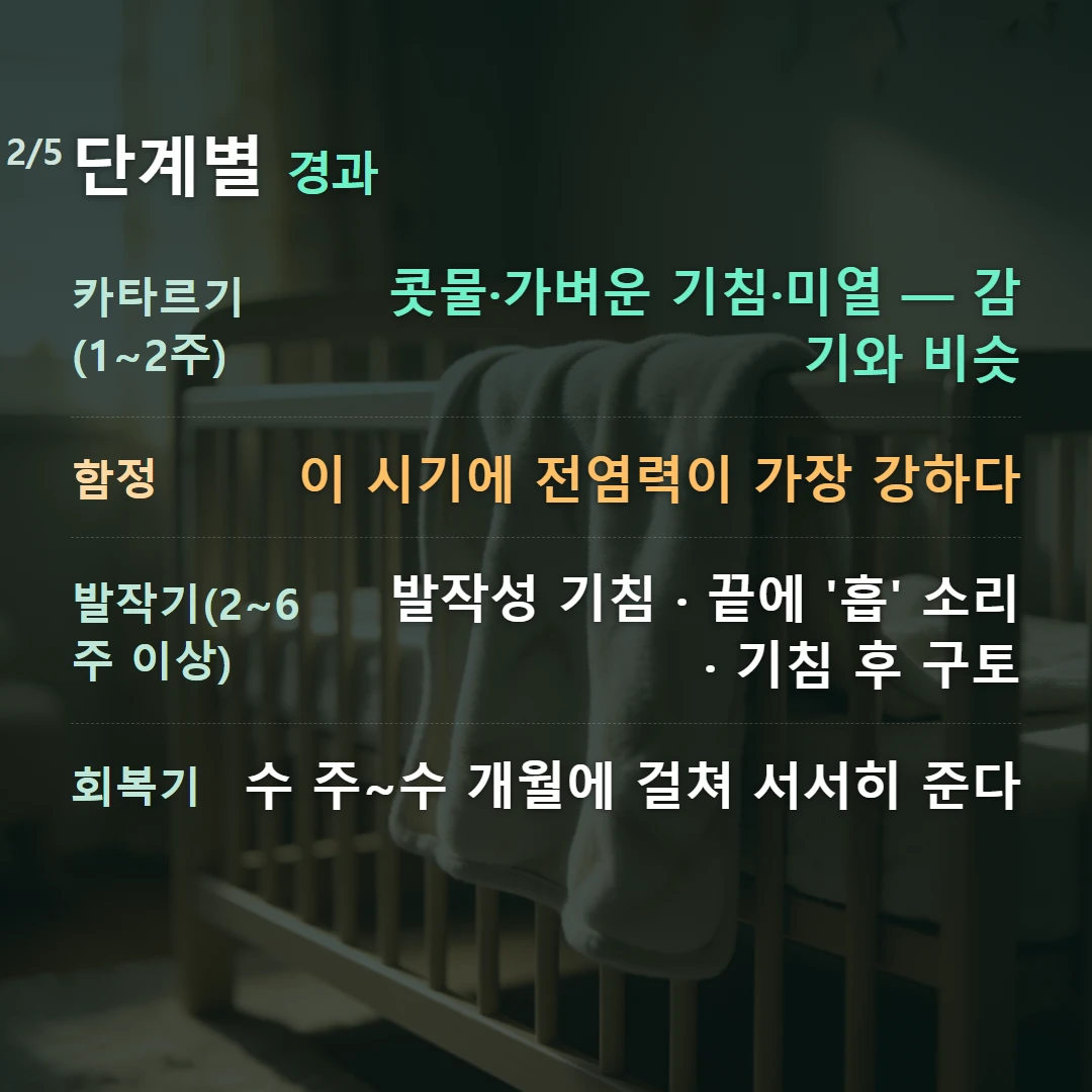 단계별 경과 — 카타르기(1~2주) 콧물·가벼운 기침·미열 — 감기와 비슷, 함정 이 시기에 전염력이 가장 강하다, 발작기(2~6주 이상) 발작성 기침 · 끝에 '흡' 소리 · 기침 후 구토, 회복기 수 주~수 개월에 걸쳐 서서히 준다
