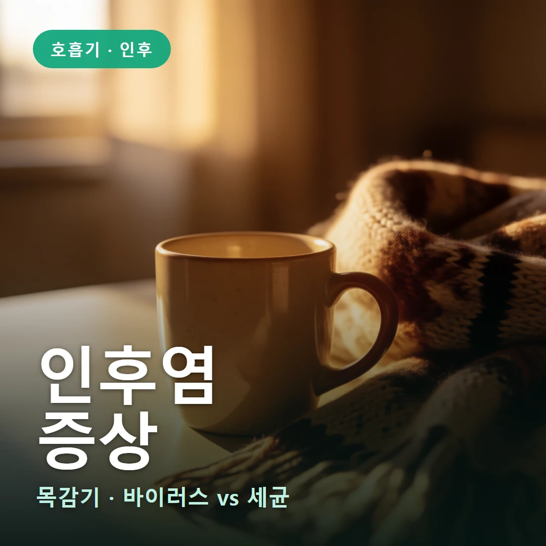 인후염 요약 표지 — 목감기 · 바이러스 vs 세균