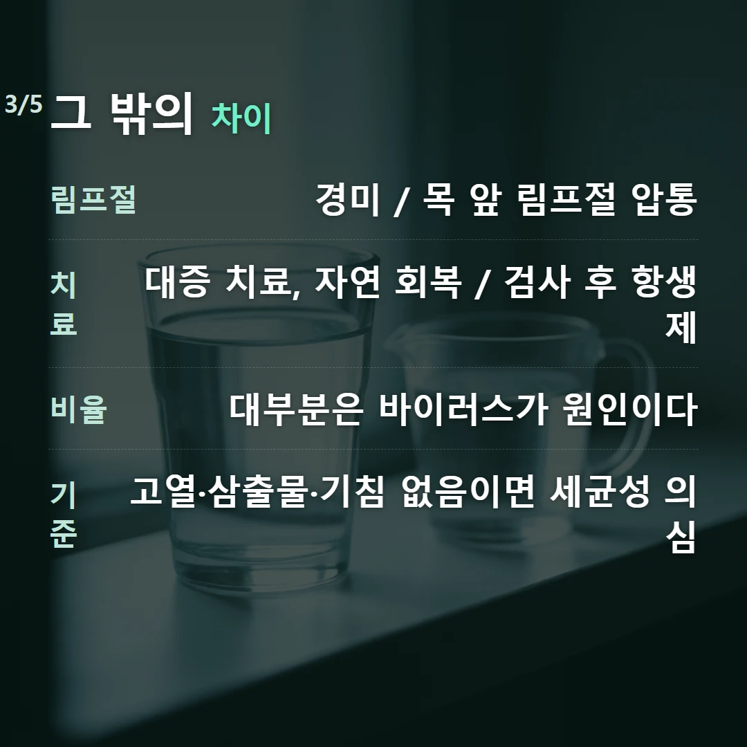 그 밖의 차이 — 림프절 경미 / 목 앞 림프절 압통, 치료 대증 치료, 자연 회복 / 검사 후 항생제, 비율 대부분은 바이러스가 원인이다, 기준 고열·삼출물·기침 없음이면 세균성 의심