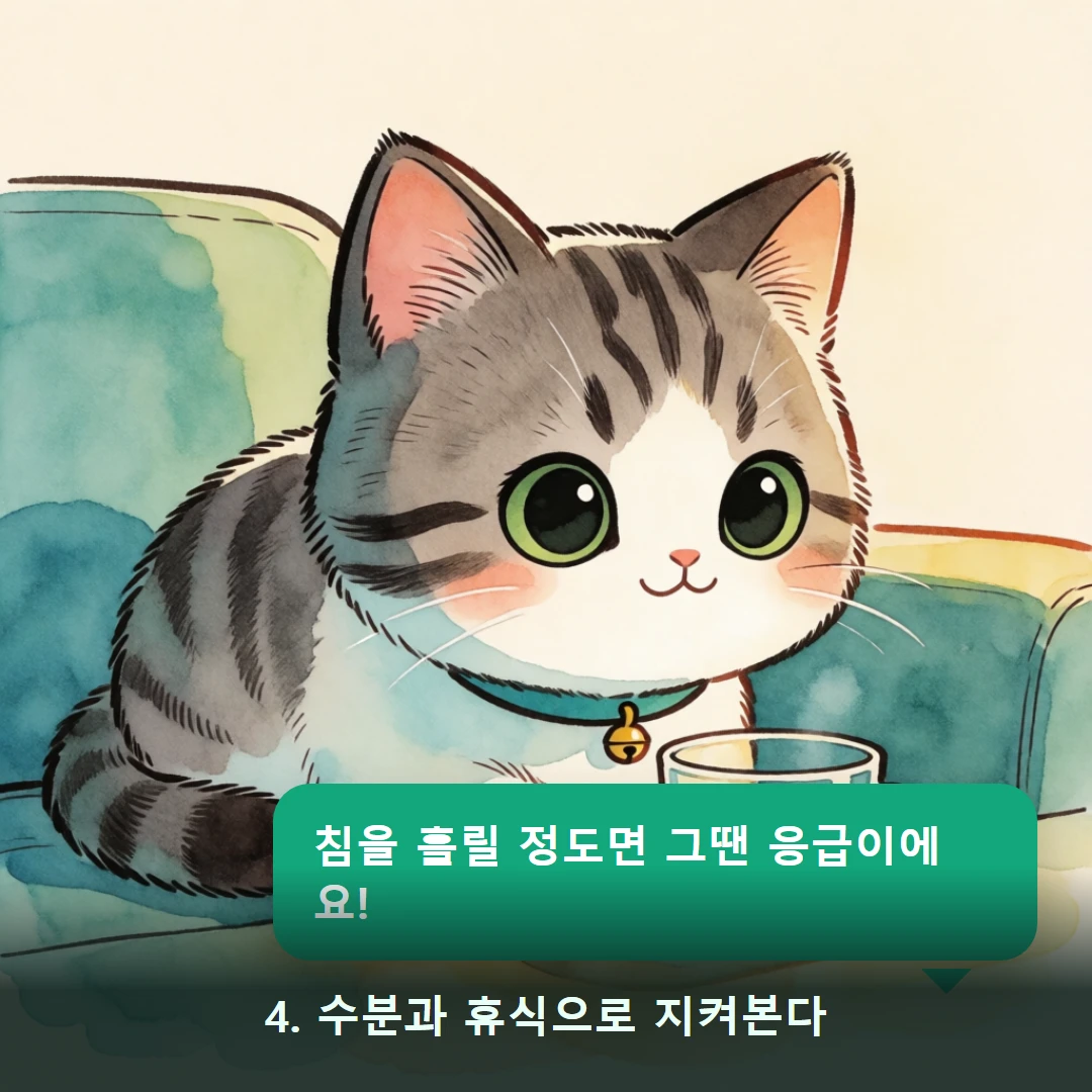 웹툰 4컷 — 4. 수분과 휴식으로 지켜본다 (침을 흘릴 정도면 그땐 응급이에요!)
