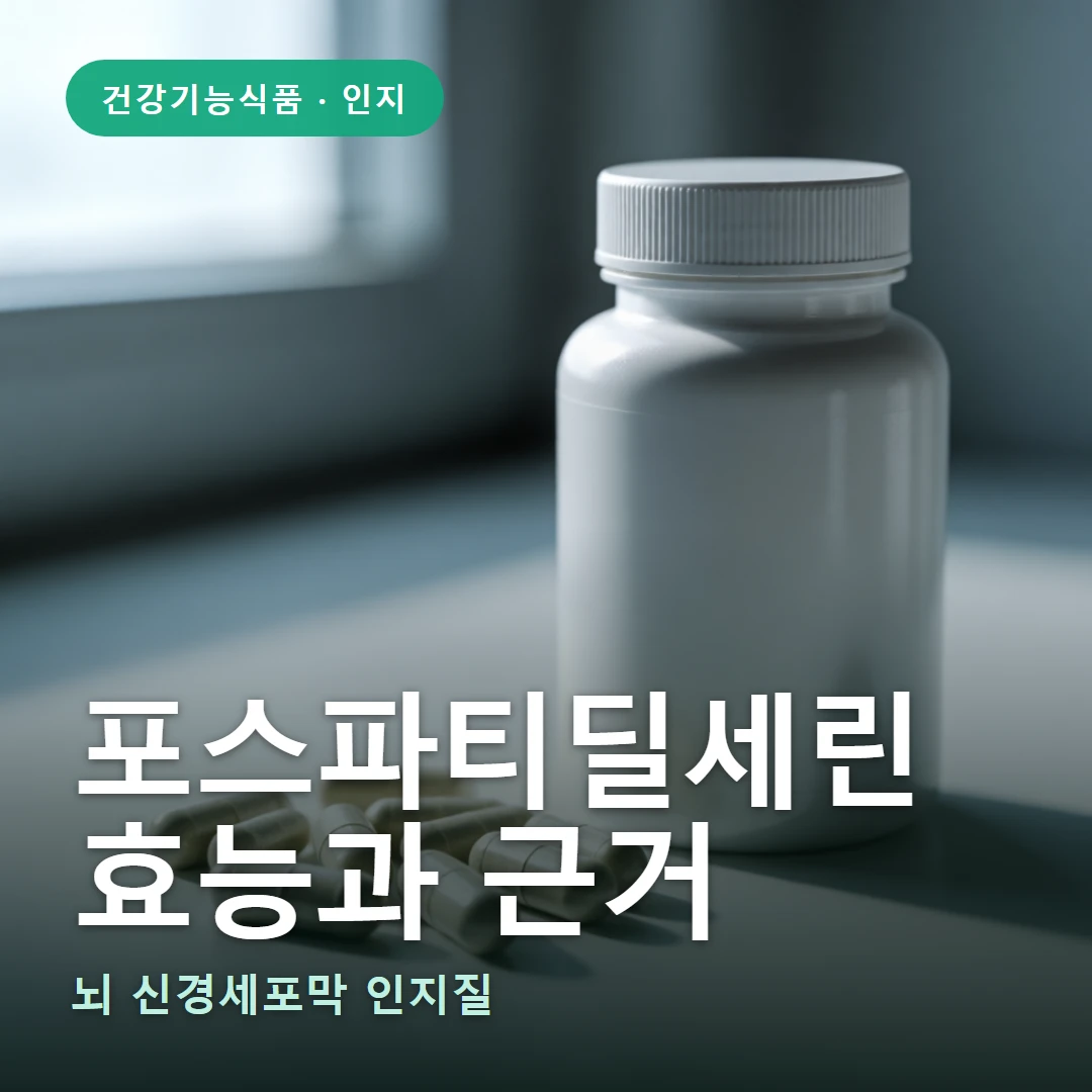 포스파티딜세린 요약 표지 — 뇌 신경세포막 인지질