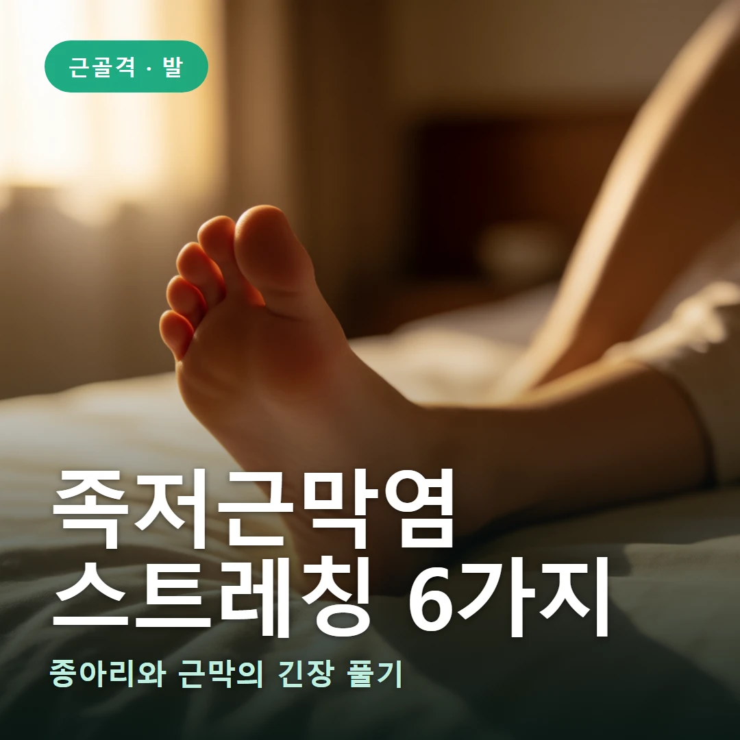 족저근막염 스트레칭 요약 표지 — 종아리와 근막의 긴장 풀기