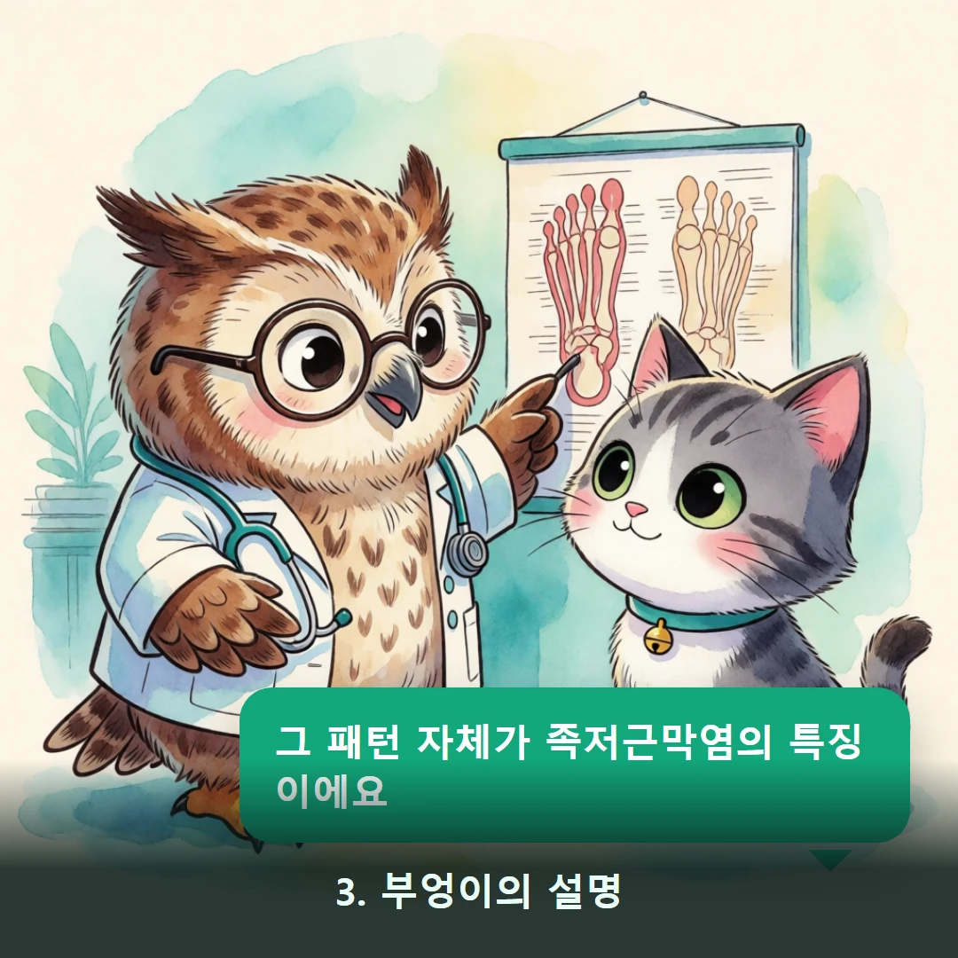웹툰 3컷 — 3. 부엉이의 설명 (그 패턴 자체가 족저근막염의 특징이에요)