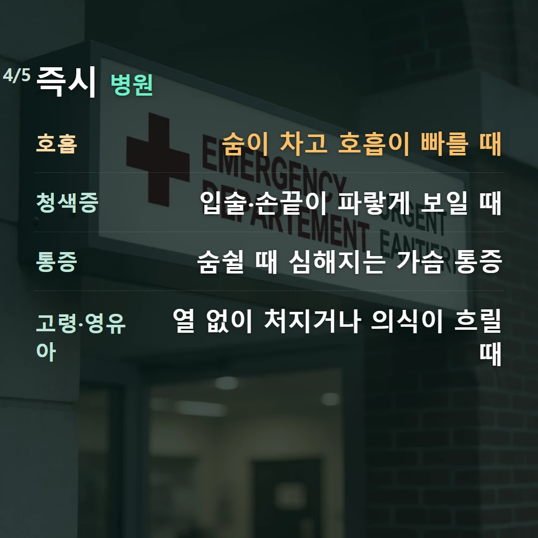 즉시 병원 — 호흡 숨이 차고 호흡이 빠를 때, 청색증 입술·손끝이 파랗게 보일 때, 통증 숨쉴 때 심해지는 가슴 통증, 고령·영유아 열 없이 처지거나 의식이 흐릴 때