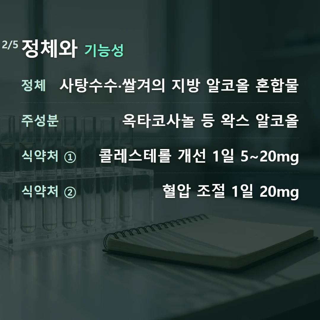 정체와 기능성 — 정체 사탕수수·쌀겨의 지방 알코올 혼합물, 주성분 옥타코사놀 등 왁스 알코올, 식약처 ① 콜레스테롤 개선 1일 5~20mg, 식약처 ② 혈압 조절 1일 20mg