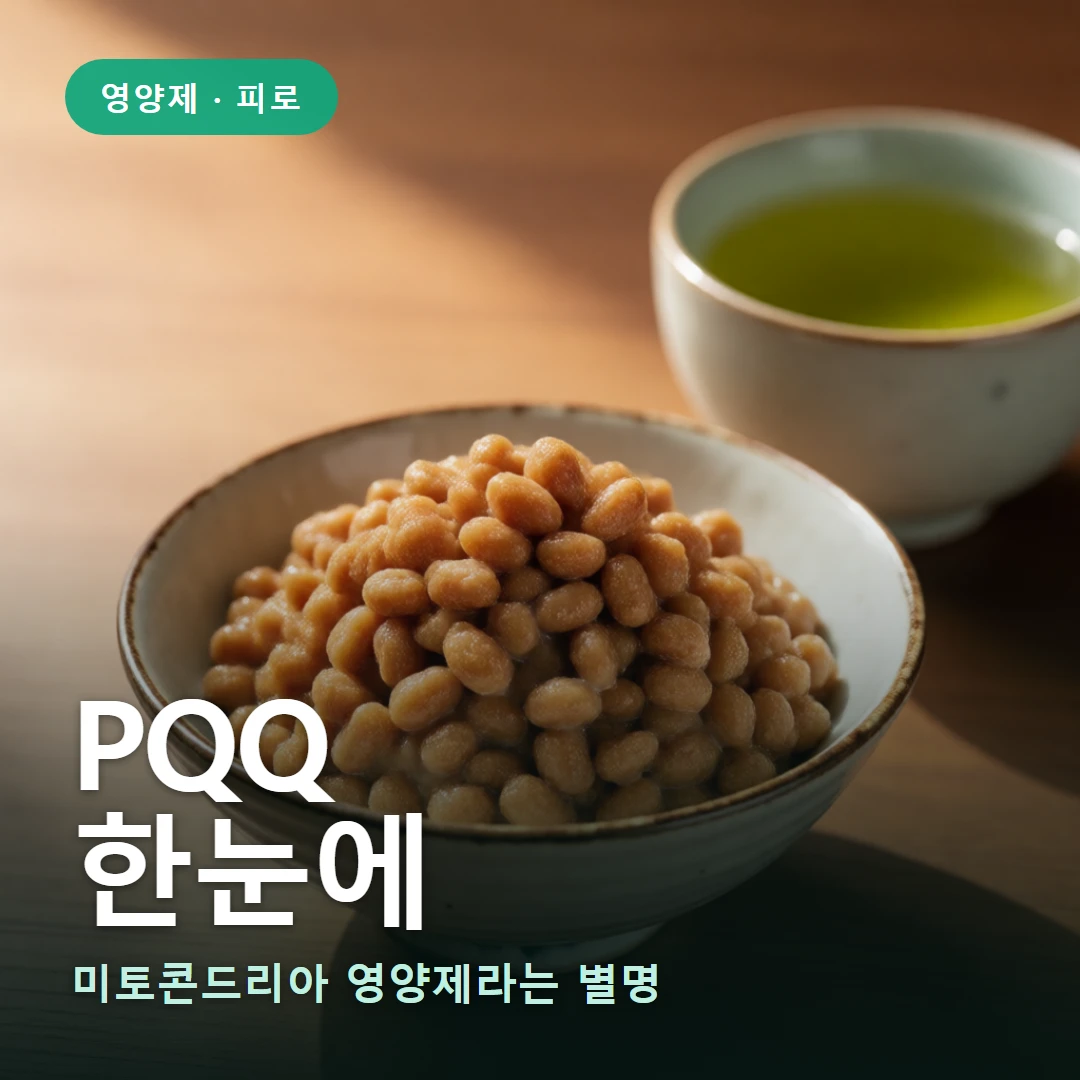 PQQ 요약 표지 — 미토콘드리아 영양제라는 별명