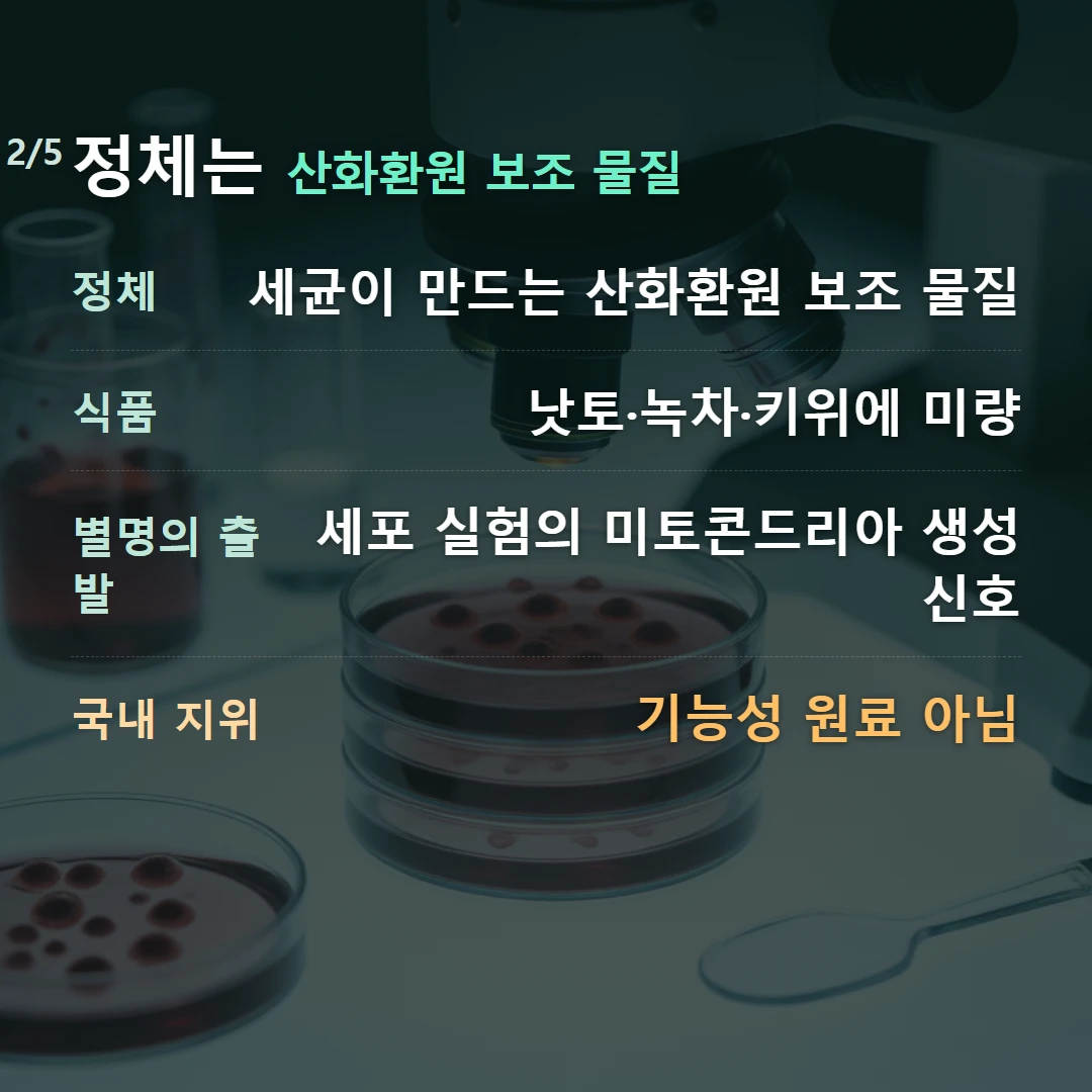 정체는 산화환원 보조 물질 — 정체 세균이 만드는 산화환원 보조 물질, 식품 낫토·녹차·키위에 미량, 별명의 출발 세포 실험의 미토콘드리아 생성 신호, 국내 지위 기능성 원료 아님