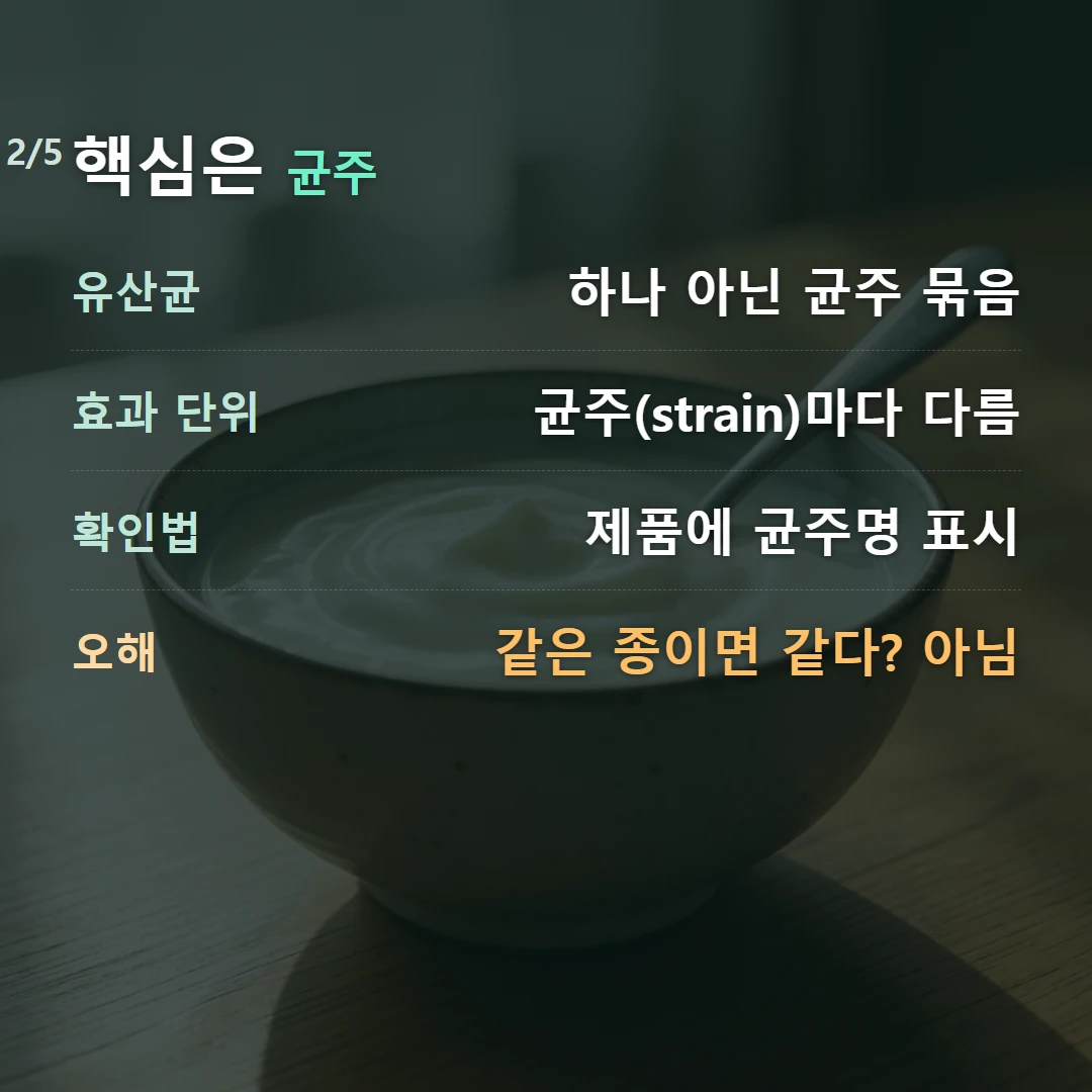 핵심은 균주 — 유산균 하나 아닌 균주 묶음, 효과 단위 균주(strain)마다 다름, 확인법 제품에 균주명 표시, 오해 같은 종이면 같다? 아님