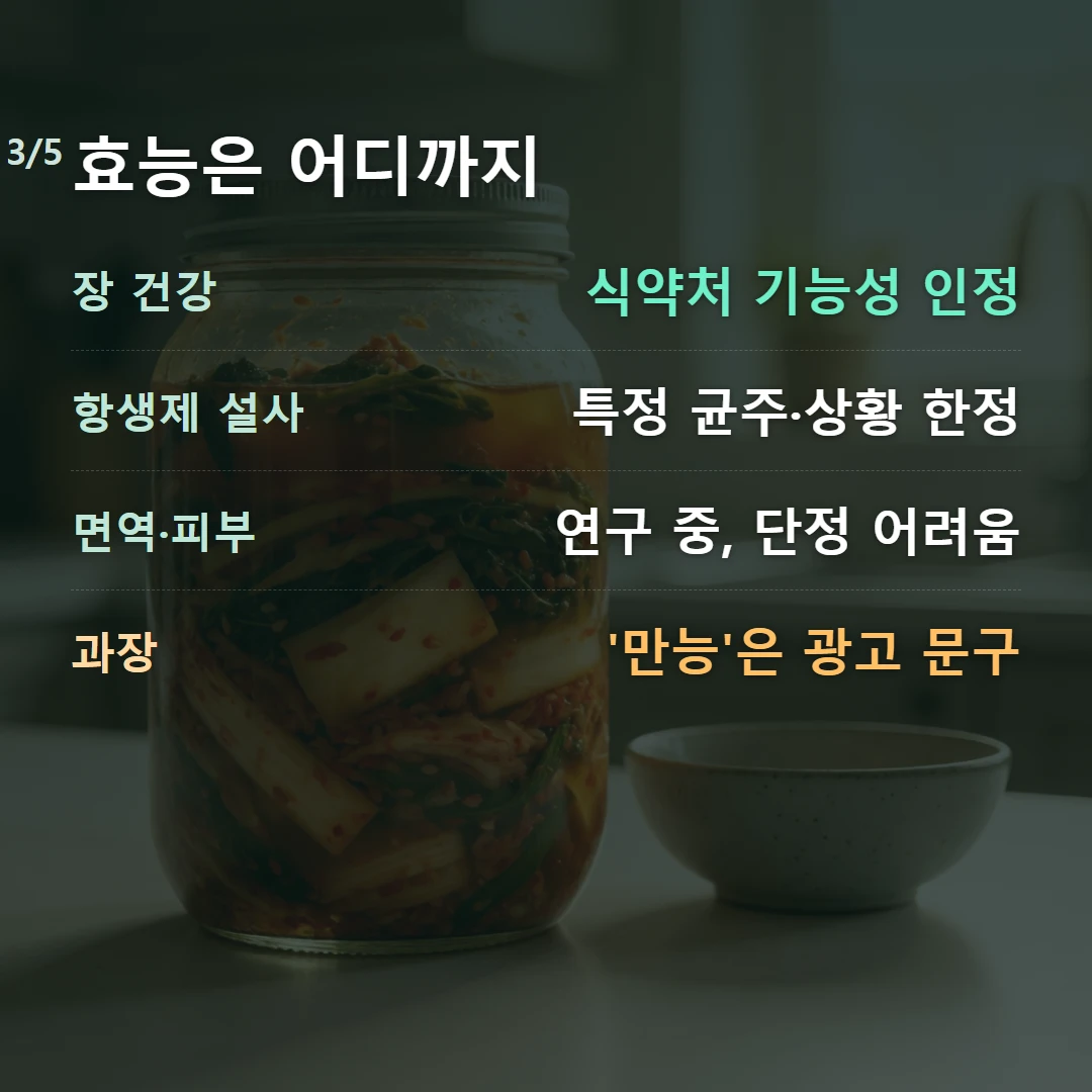 효능은 어디까지 — 장 건강 식약처 기능성 인정, 항생제 설사 특정 균주·상황 한정, 면역·피부 연구 중, 단정 어려움, 과장 '만능'은 광고 문구