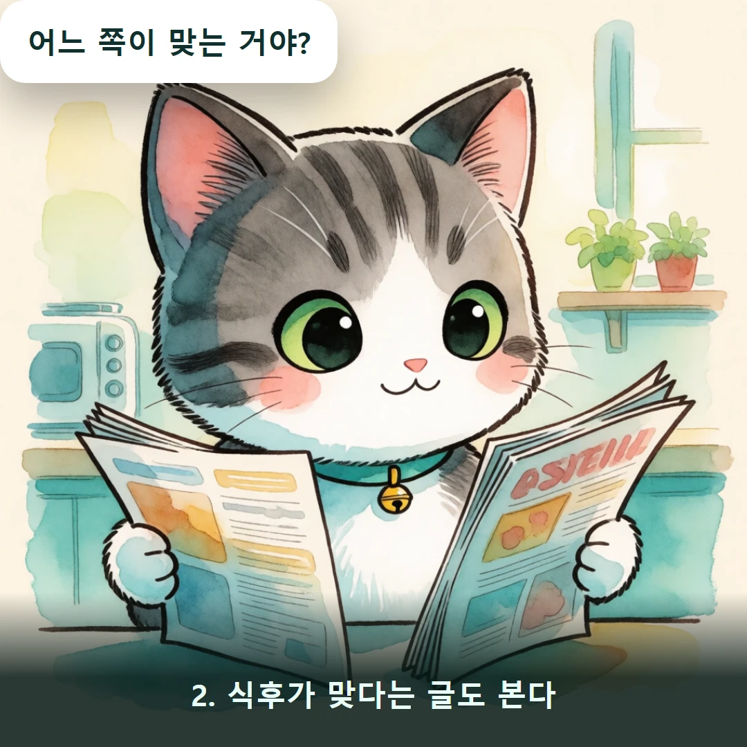웹툰 2컷 — 2. 식후가 맞다는 글도 본다 (어느 쪽이 맞는 거야?)