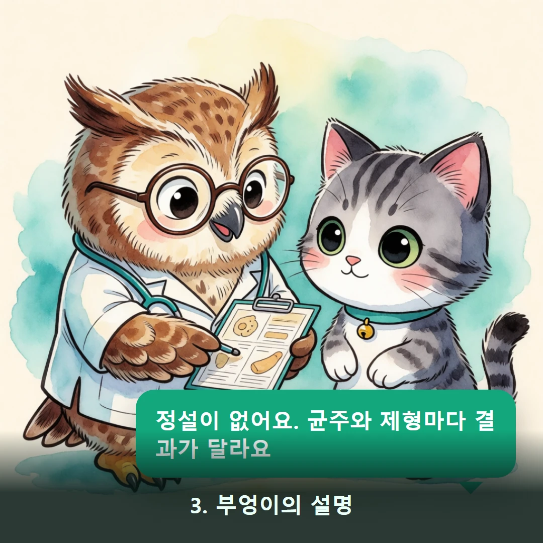 웹툰 3컷 — 3. 부엉이의 설명 (정설이 없어요. 균주와 제형마다 결과가 달라요)
