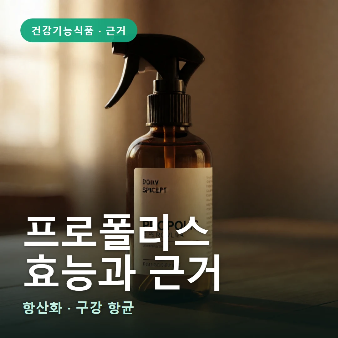 프로폴리스 요약 표지 — 항산화 · 구강 항균
