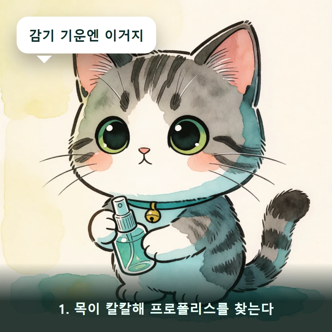 웹툰 1컷 — 1. 목이 칼칼해 프로폴리스를 찾는다 (감기 기운엔 이거지)