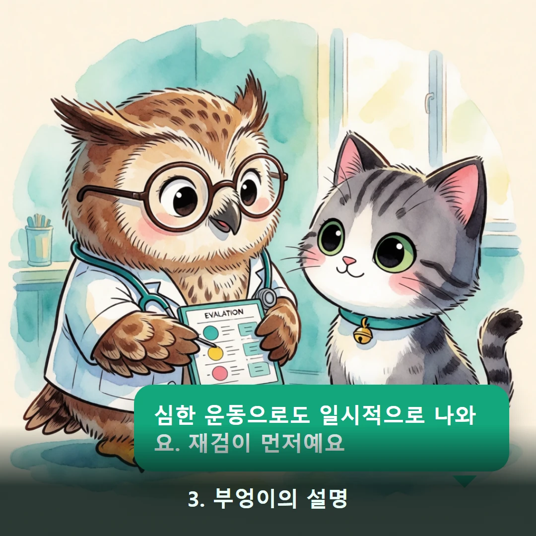 웹툰 3컷 — 3. 부엉이의 설명 (심한 운동으로도 일시적으로 나와요. 재검이 먼저예요)