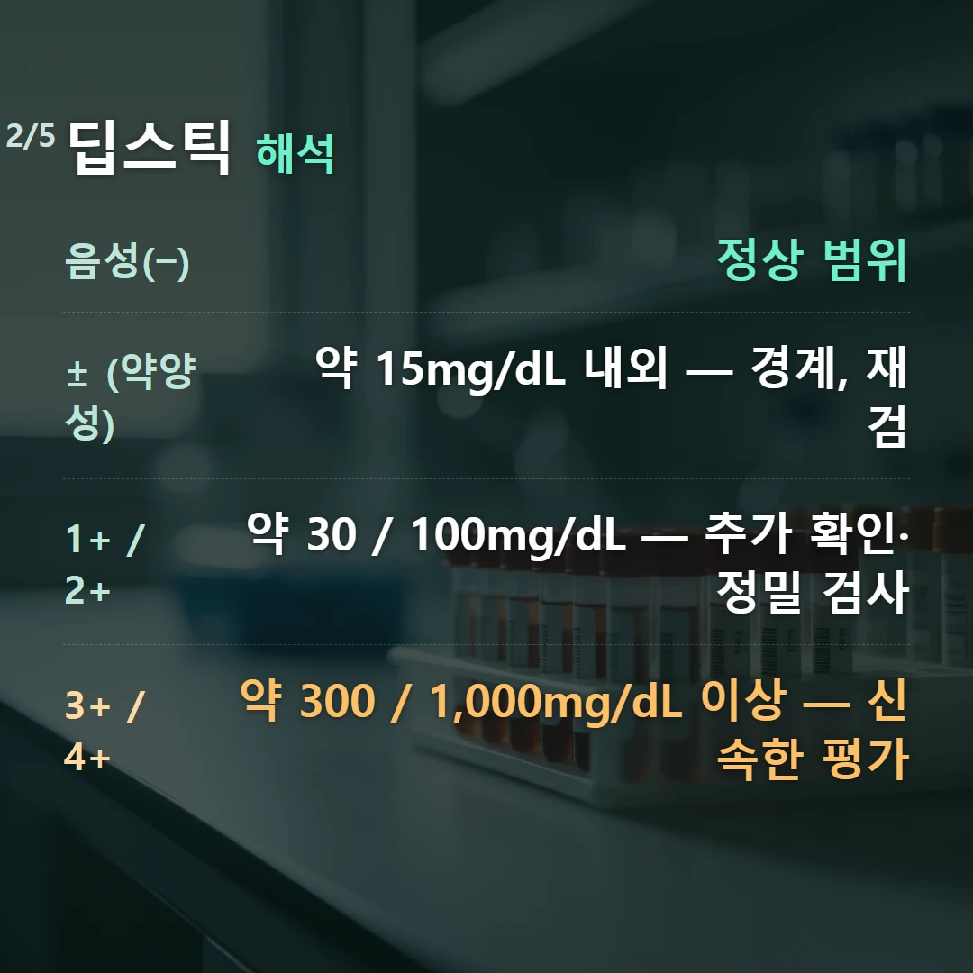 딥스틱 해석 — 음성(−) 정상 범위, ± (약양성) 약 15mg/dL 내외 — 경계, 재검, 1+ / 2+ 약 30 / 100mg/dL — 추가 확인·정밀 검사, 3+ / 4+ 약 300 / 1,000mg/dL 이상 — 신속한 평가