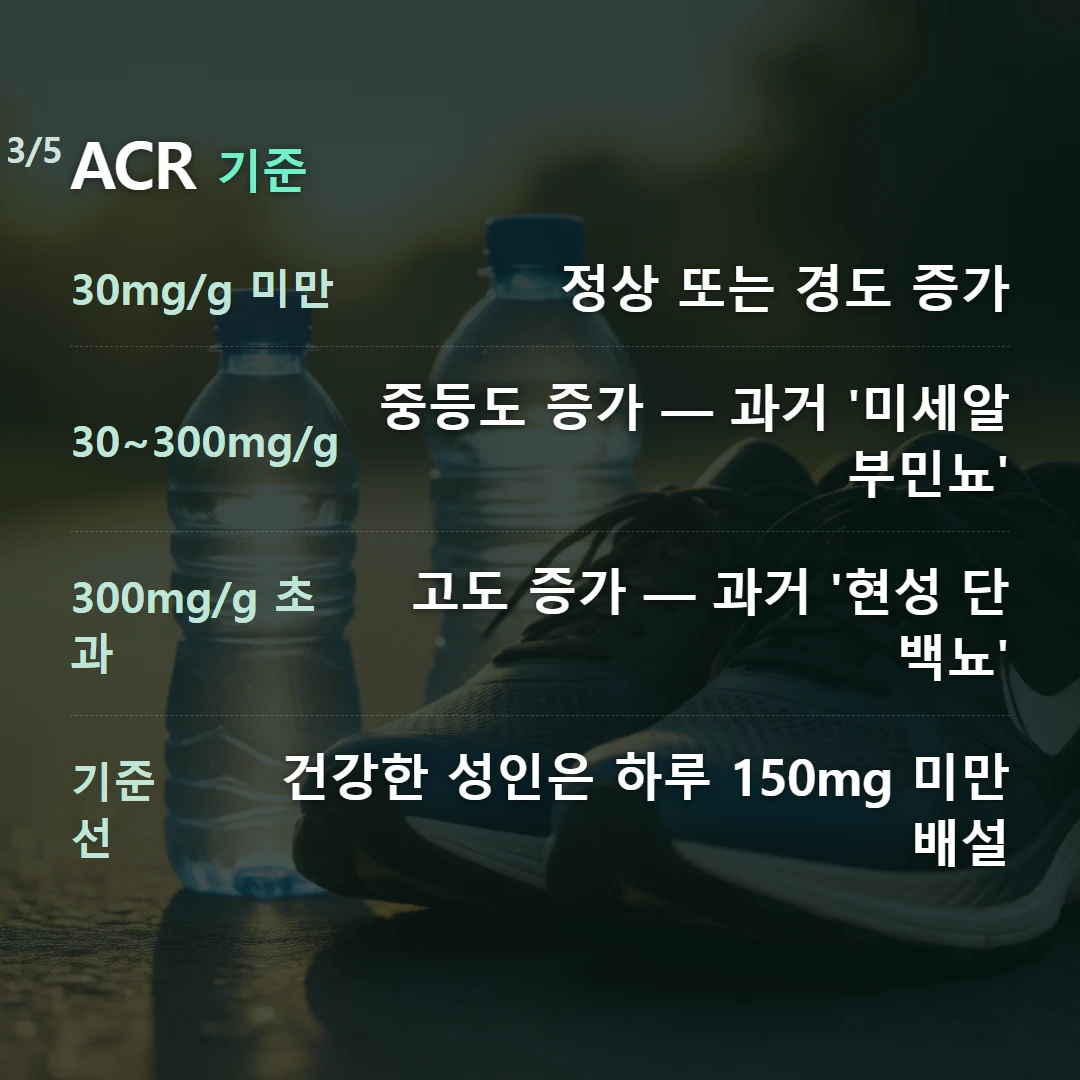 ACR 기준 — 30mg/g 미만 정상 또는 경도 증가, 30~300mg/g 중등도 증가 — 과거 '미세알부민뇨', 300mg/g 초과 고도 증가 — 과거 '현성 단백뇨', 기준선 건강한 성인은 하루 150mg 미만 배설