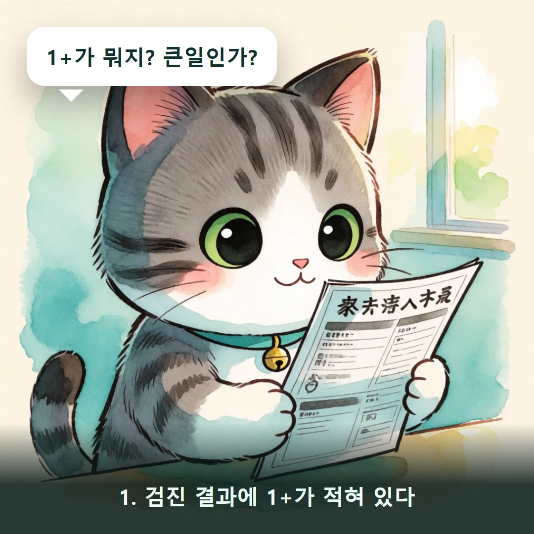 웹툰 1컷 — 1. 검진 결과에 1+가 적혀 있다 (1+가 뭐지? 큰일인가?)