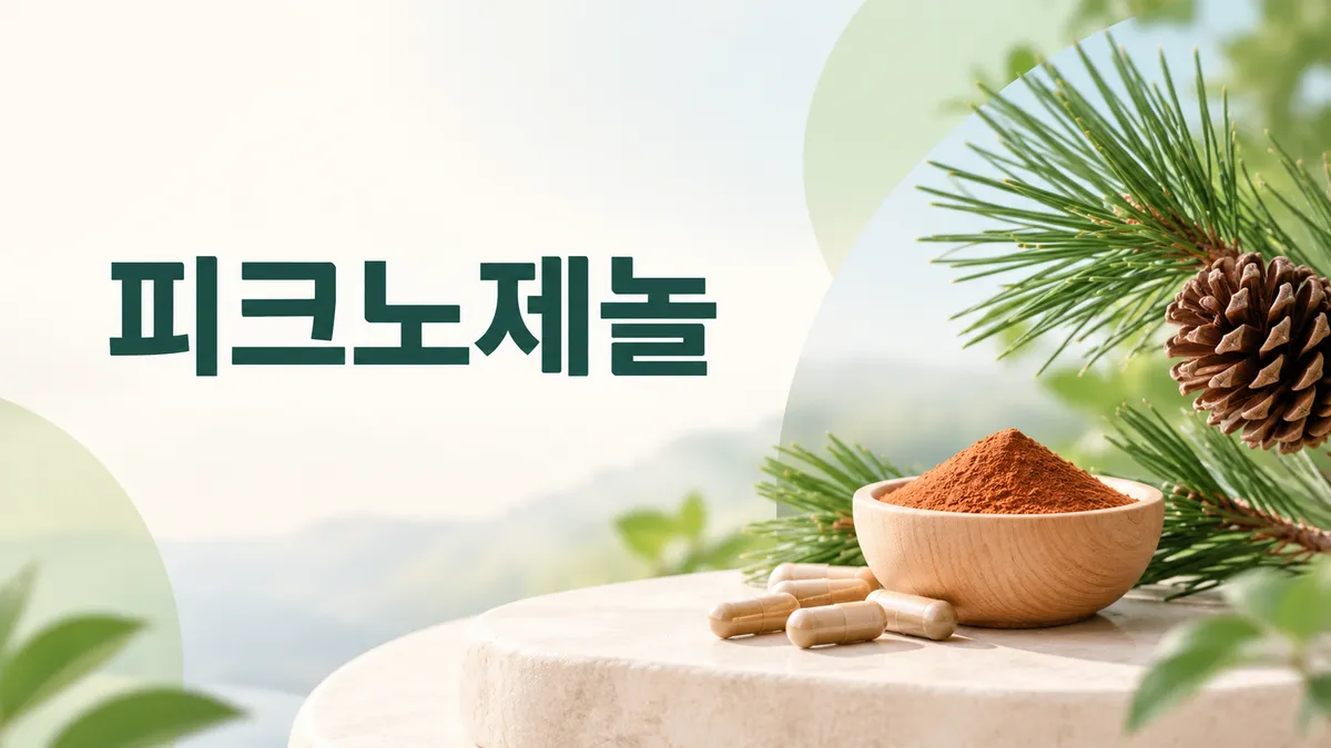 피크노제놀 효능과 부작용, 근거는 어디까지