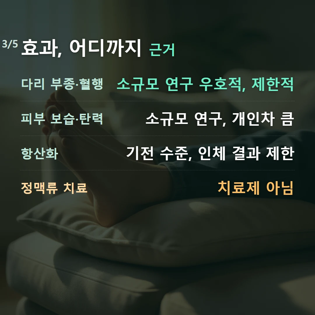 효과, 어디까지 근거 — 다리 부종·혈행 소규모 연구 우호적, 제한적, 피부 보습·탄력 소규모 연구, 개인차 큼, 항산화 기전 수준, 인체 결과 제한, 정맥류 치료 치료제 아님