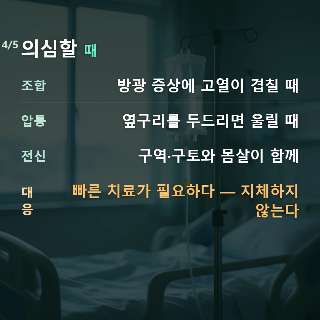 의심할 때 — 조합 방광 증상에 고열이 겹칠 때, 압통 옆구리를 두드리면 울릴 때, 전신 구역·구토와 몸살이 함께, 대응 빠른 치료가 필요하다 — 지체하지 않는다
