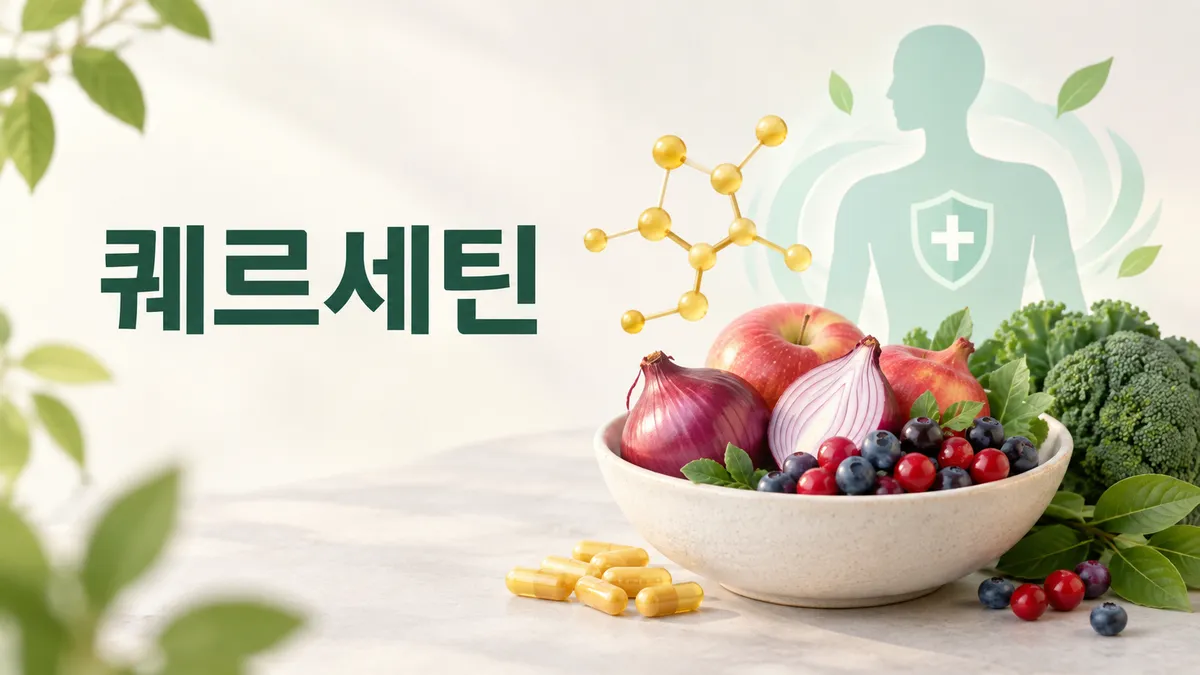 퀘르세틴 효능과 부작용, 항산화 근거는 어디까지
