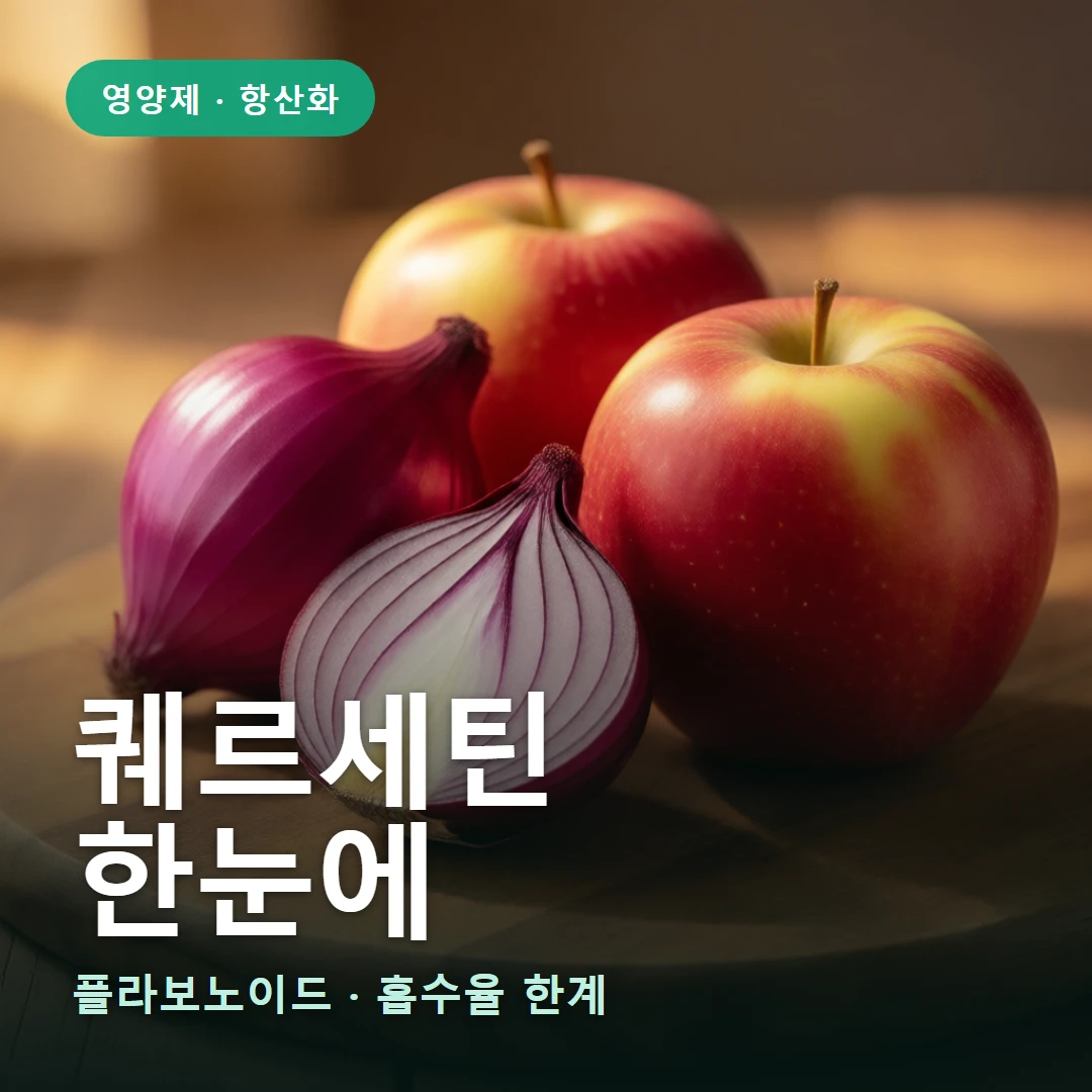 퀘르세틴 요약 표지 — 플라보노이드 · 흡수율 한계