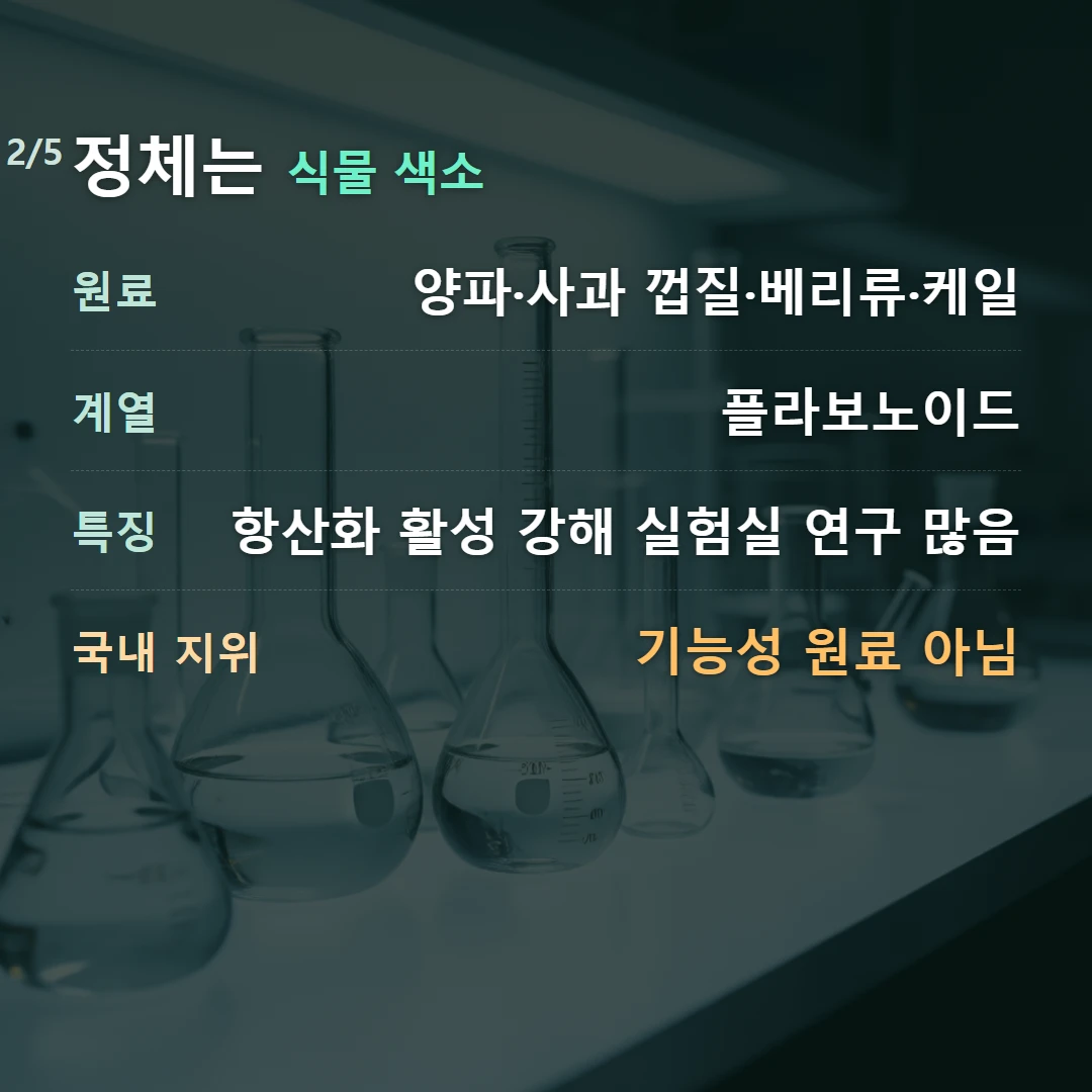 정체는 식물 색소 — 원료 양파·사과 껍질·베리류·케일, 계열 플라보노이드, 특징 항산화 활성 강해 실험실 연구 많음, 국내 지위 기능성 원료 아님