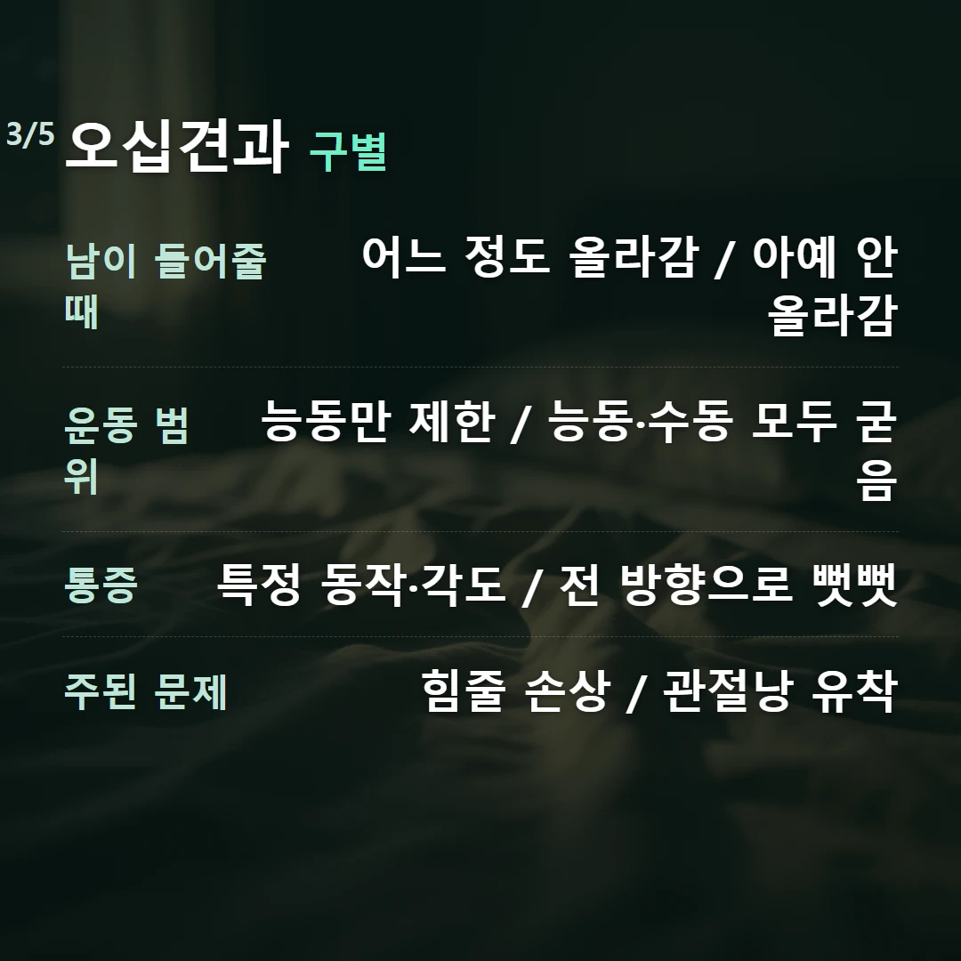 오십견과 구별 — 남이 들어줄 때 어느 정도 올라감 / 아예 안 올라감, 운동 범위 능동만 제한 / 능동·수동 모두 굳음, 통증 특정 동작·각도 / 전 방향으로 뻣뻣, 주된 문제 힘줄 손상 / 관절낭 유착